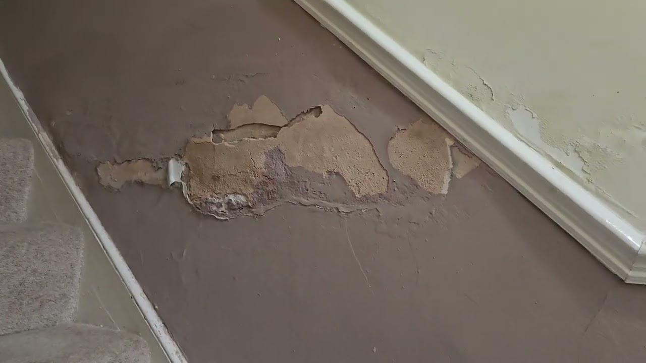 Damp survey - Conflicting advice.
