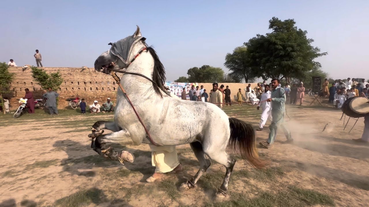 Horse  Dance 💃 Part 3 🌷🌹🌹میلہ بابا سکھے شاہ
