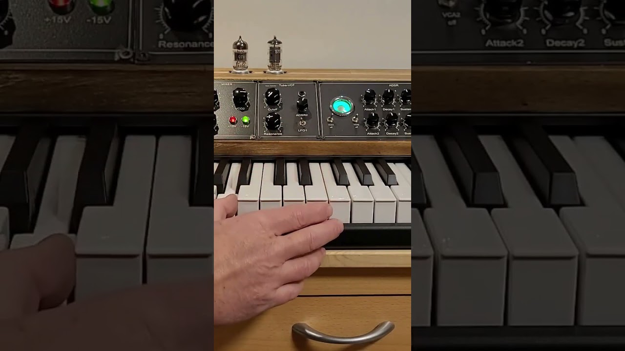 DIY Analog VT Hybrid Synth with Ren&eacute; Schmitz VT-VCF #synth #synthesizer #Vakuum-Tube Synthesizer