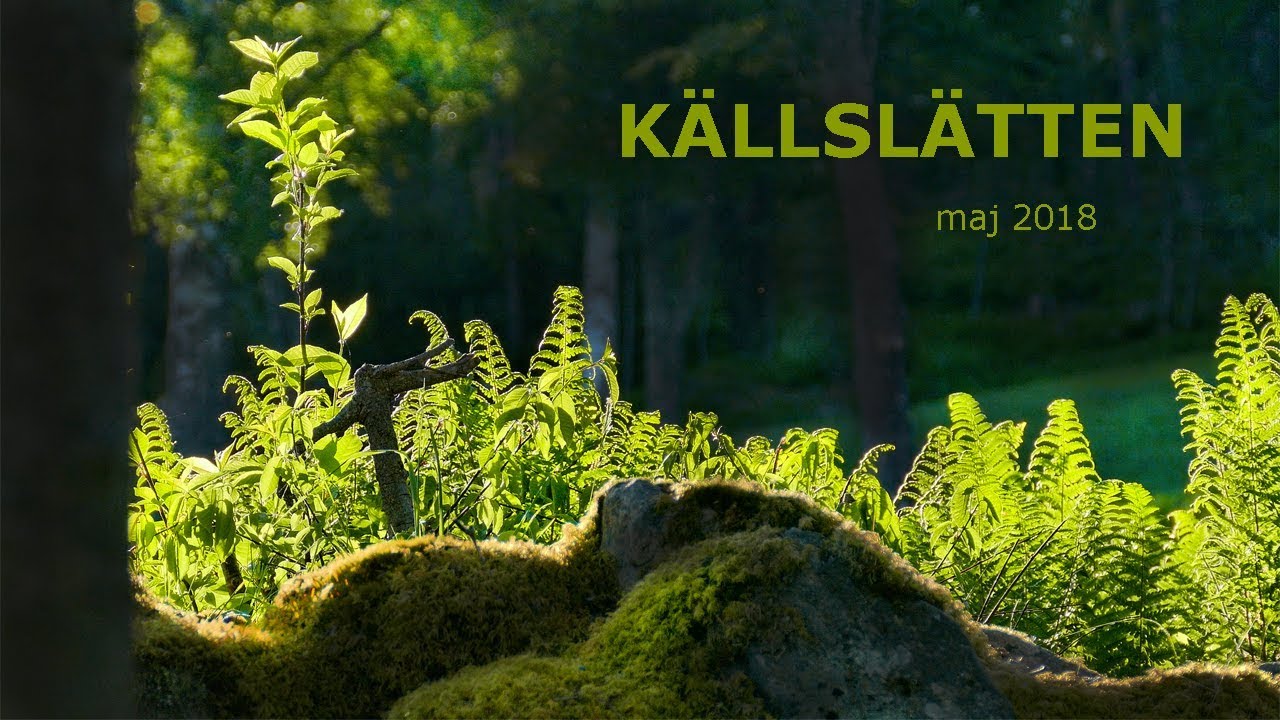 Källslätten, Falun  (04:55 min.)