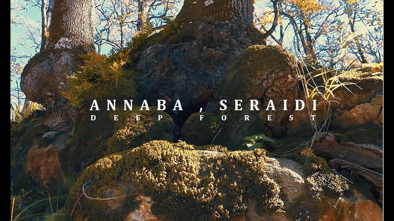 Annaba Seraidi - سرايدي عنابة | Deep Forest