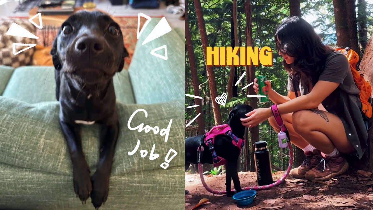 PUPPY UPDATE! our first hike together :)