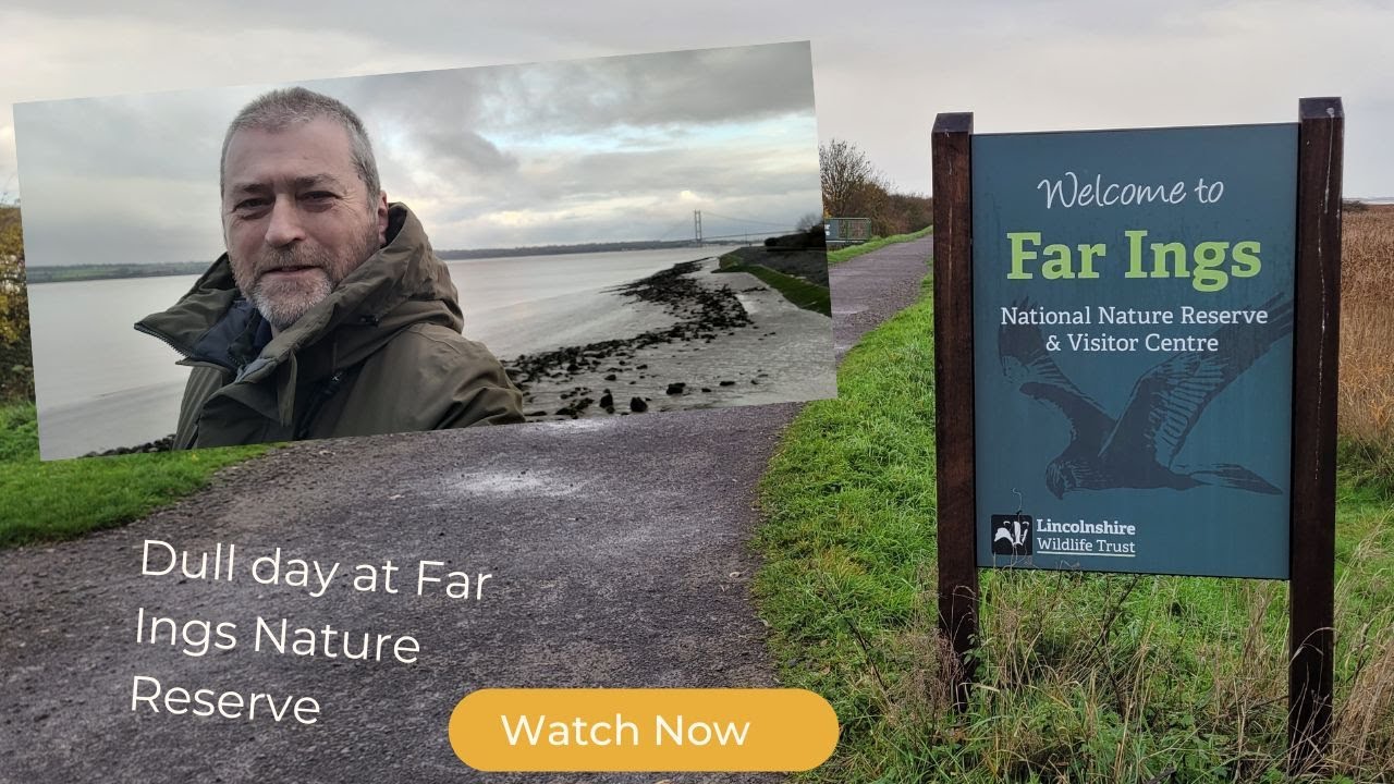 A dull rainy day at Far Ings Nature Reserve