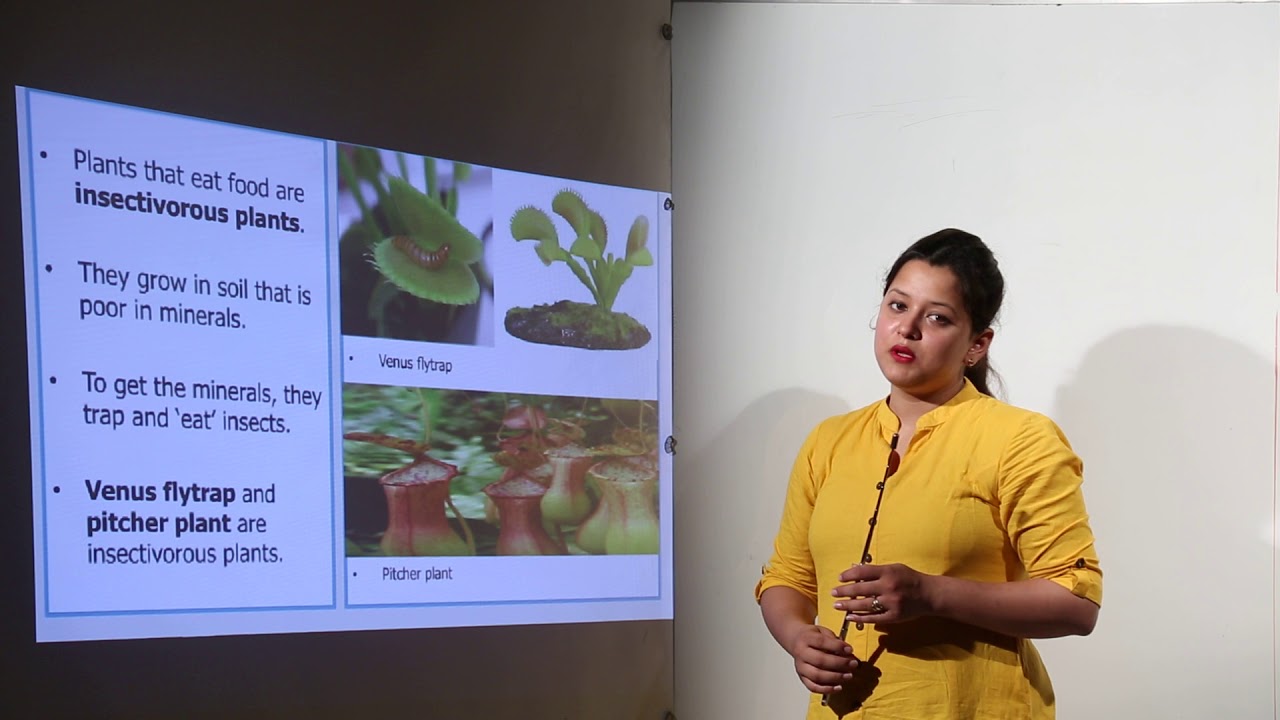 Free Topic l Online Free l Class 4th I Science I ICSE I Chapter 10 I Plants l L10