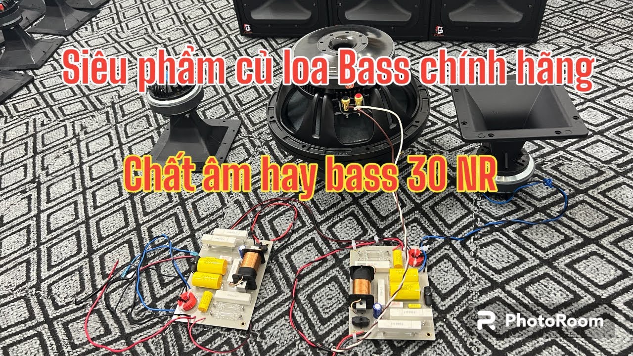 Loa Bass 30 NR 12WF335 Ph&acirc;n kh&uacute;c Cao cấp Ch&iacute;nh h&atilde;ng LH:0988.583.183