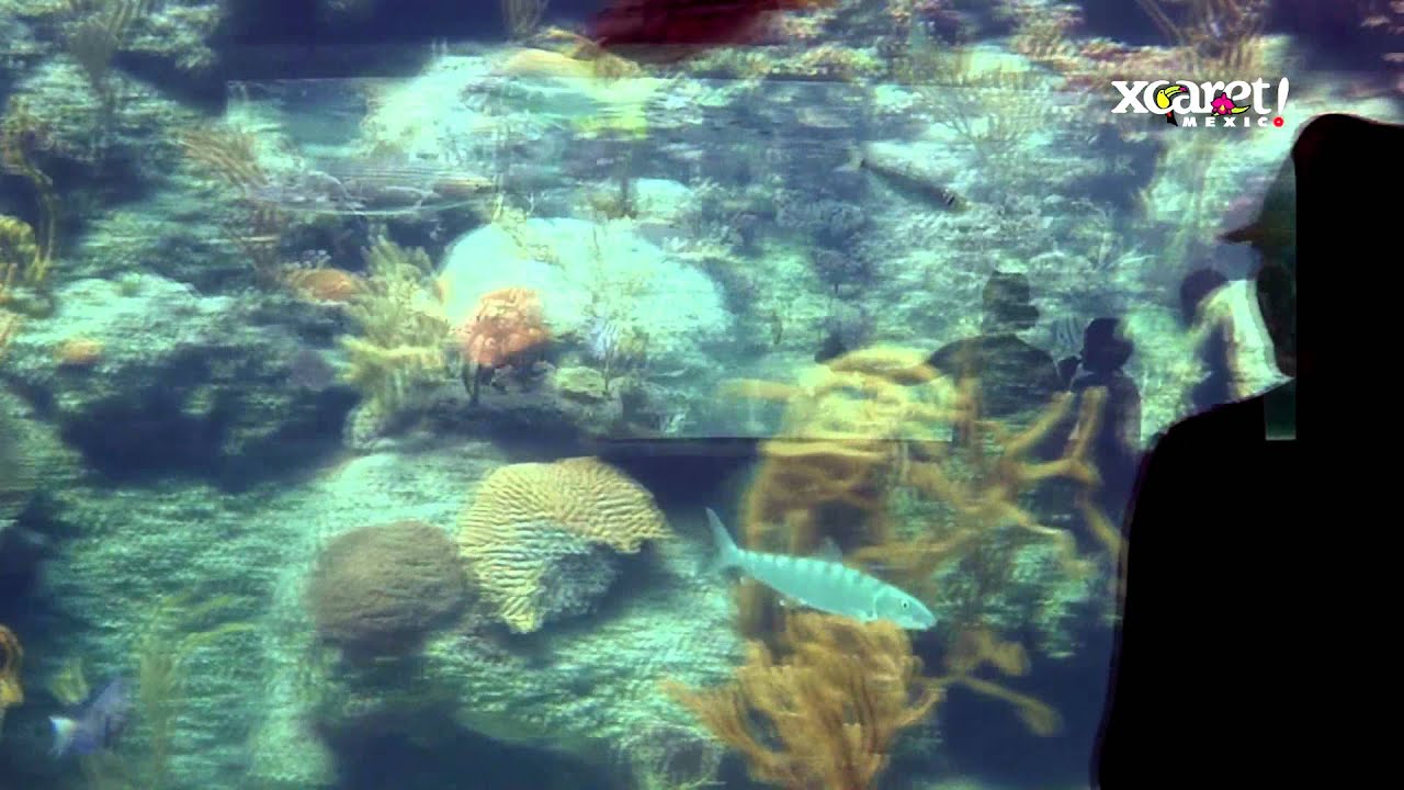 Xcaret Park Mexico