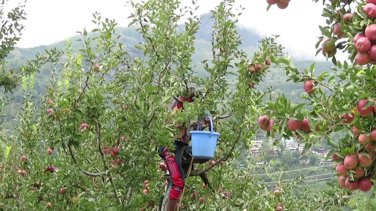 kullu Valley, paradise in himalaya