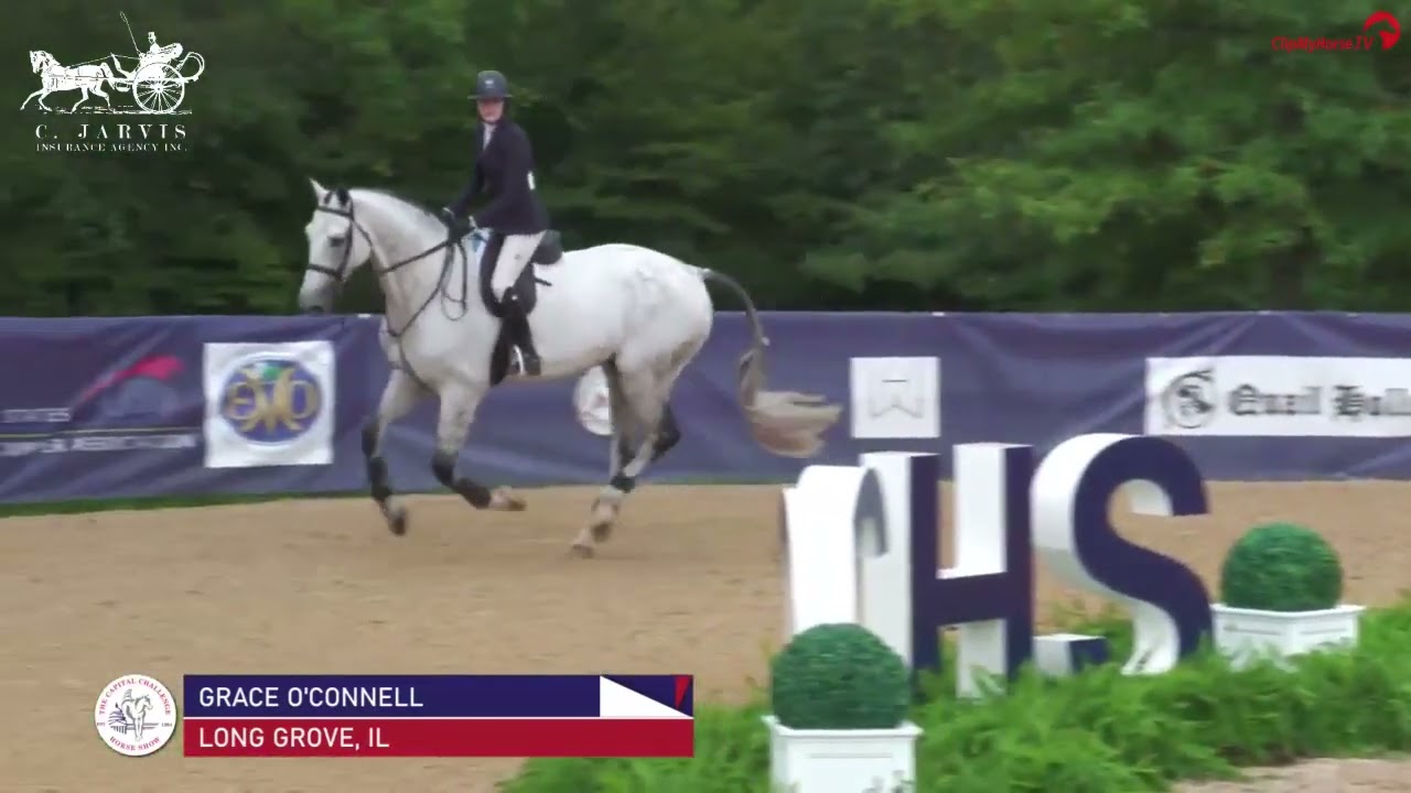 Capitolino DVE - Wins 17 yr old Equitation 