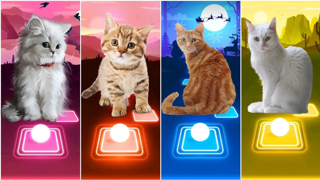Cute Cats || Lady Gaga VS Enemy VS Believer VS Alone || Tiles Hop EDM:Rush||