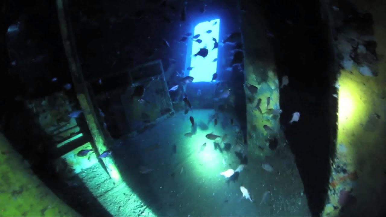 Northland Dive NZ
