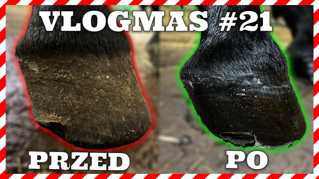 VLOGMAS #21 | RENOWACJA KOPYT | WIELKIE PORZĄDKI