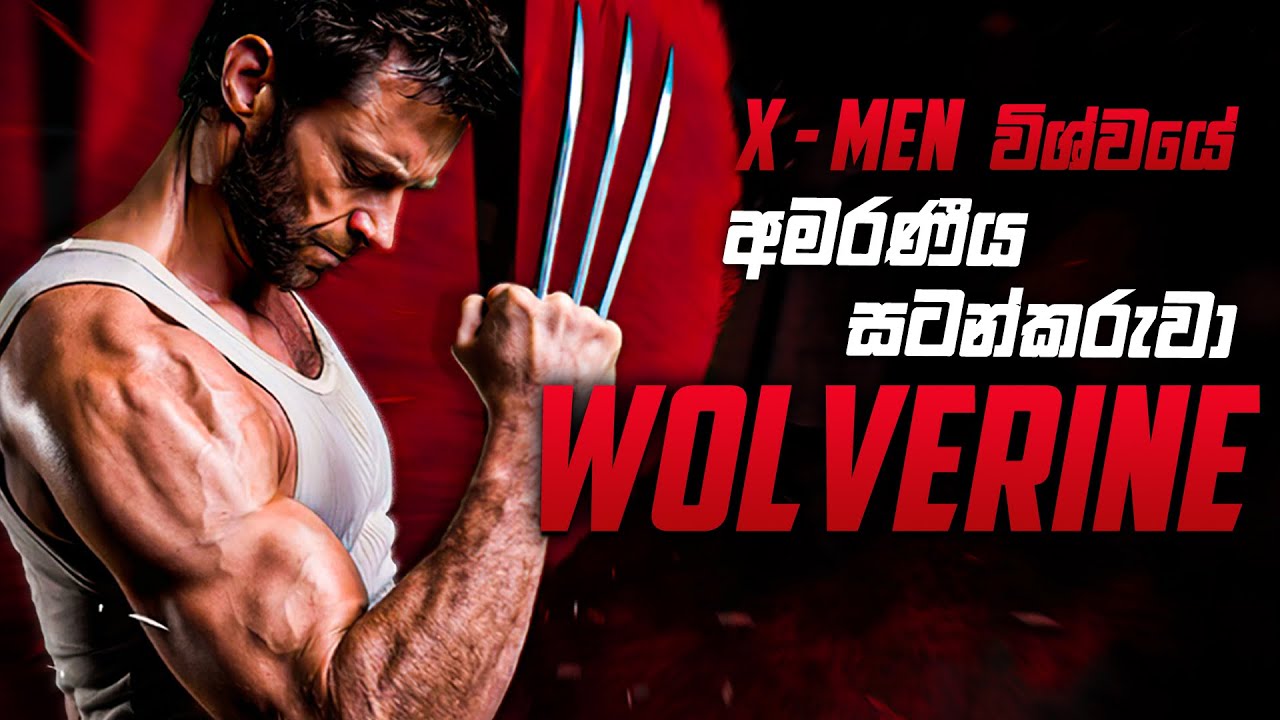 Wolverine Character review Sinhala | Wolverine origin