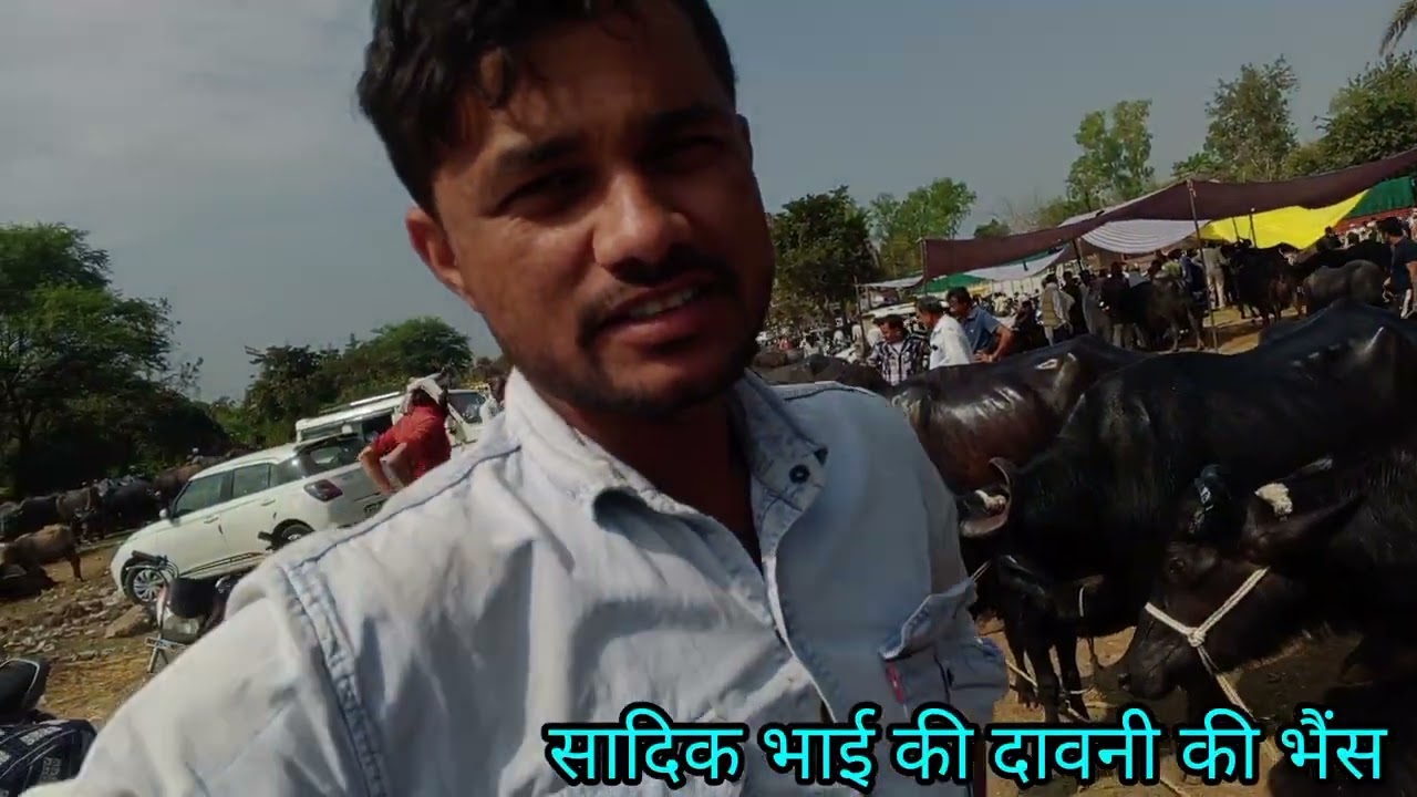 दावनी के वीडियो व्यापारी की 25 फ़रवरी 2026