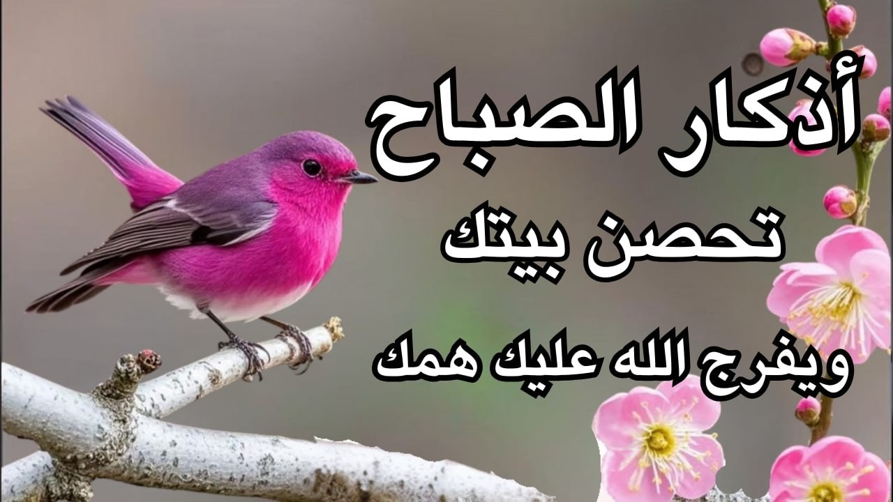 أذكار الصباح - راحة نفسية لا توصف بصوت القارئ علاء عقل | Morning Athkar - Dzkir Pagi