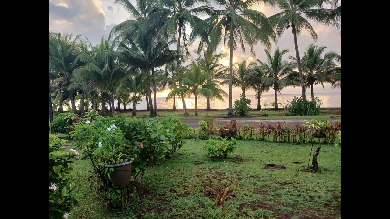 Agavaivai (reprise fagufagumana)