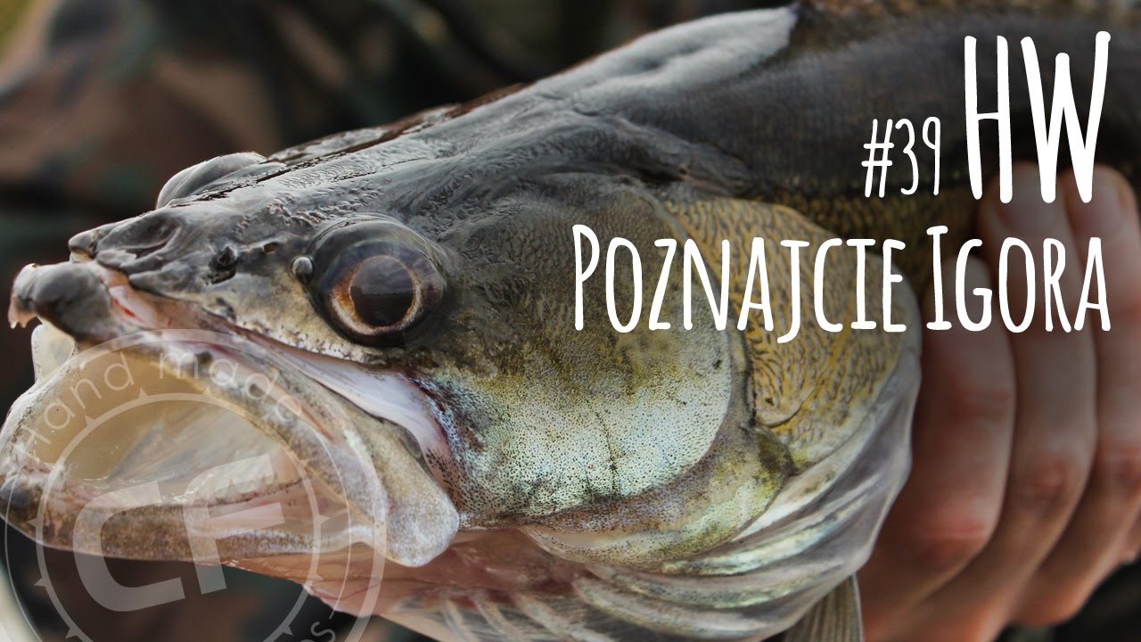 #39 Historie wędkarskie - opowieści dziwnej treści - Poznajcie Igora