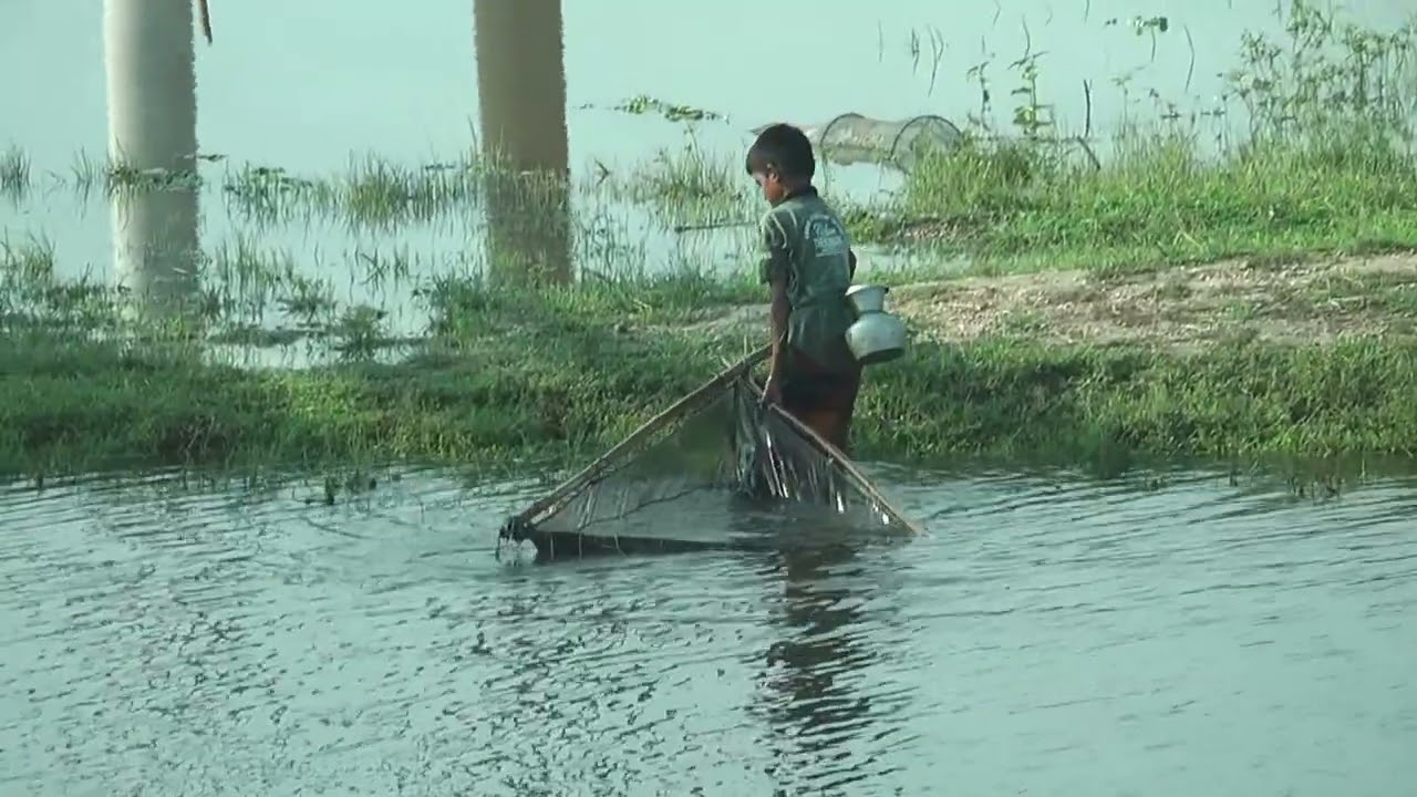 হাওরে পানি আসছে