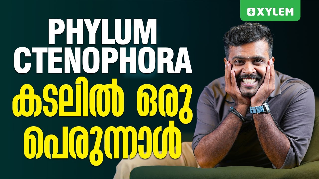 Phylum Ctenophora : കടലിൽ ഒരു പെരുന്നാൾ | Xylem Plus One