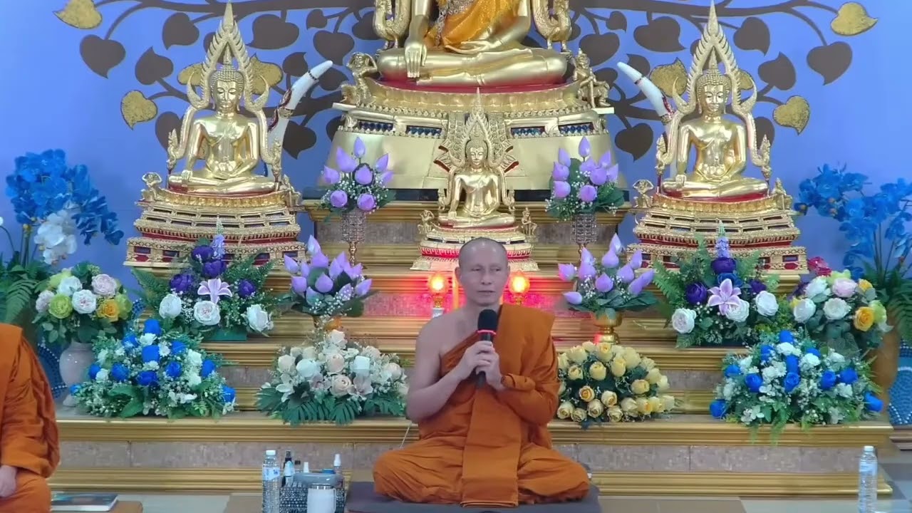 อยู่กับทุกข์แต่ไม่แบกทุกข์ #สื่อสติ #พระมหาวิเชียร #เจ้าคุณภาวนาวชิราจารย์ วิ. #ชินวงส์