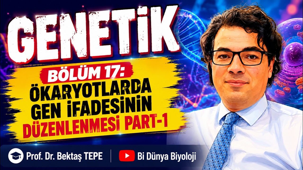 Genetik Bölüm 17 Ökaryotlarda Gen İfadesinin Düzenlenmesi-Part 1 #genel biyoloji