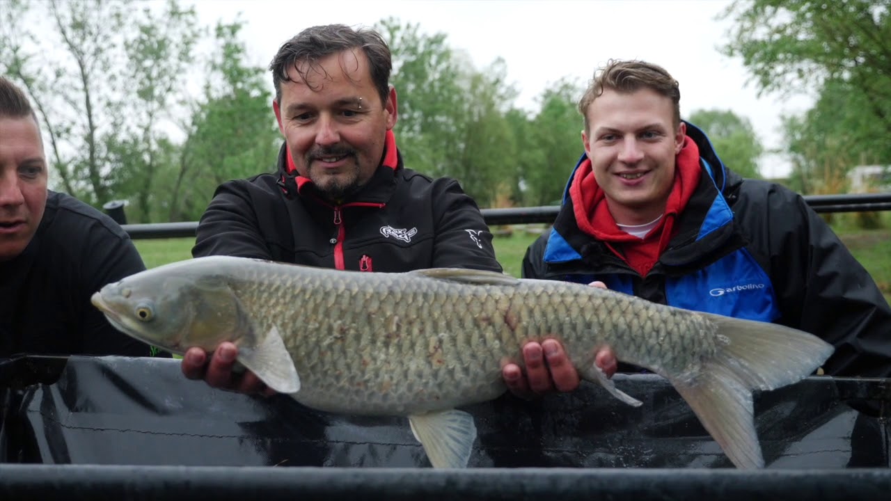 II. Rakós Botos Nyílt Nap