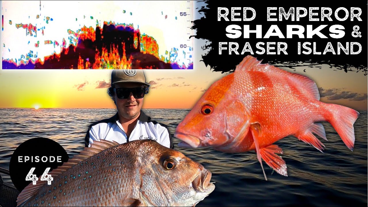 RED EMPEROR | SHARKS and FRASER ISLAND - Ep 44