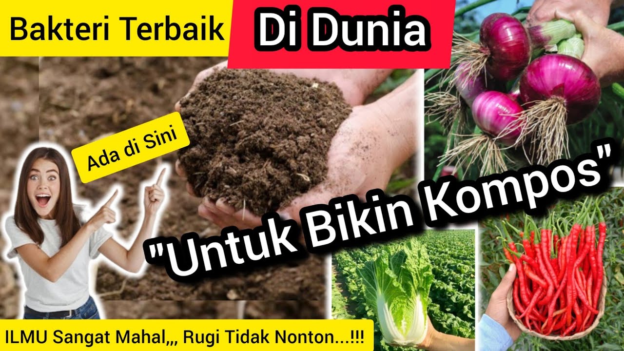 🔴 Bakteri Jamur Kompos dan POC Terbaik di Dunia‼️Mikroorganisme Pupuk Organik Tidak Ada Tandingannya