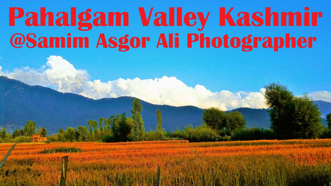 Pahalgam Kashmir (4K): Mesmerizing Beauty through the lens of Samim Asgor Ali Photographer