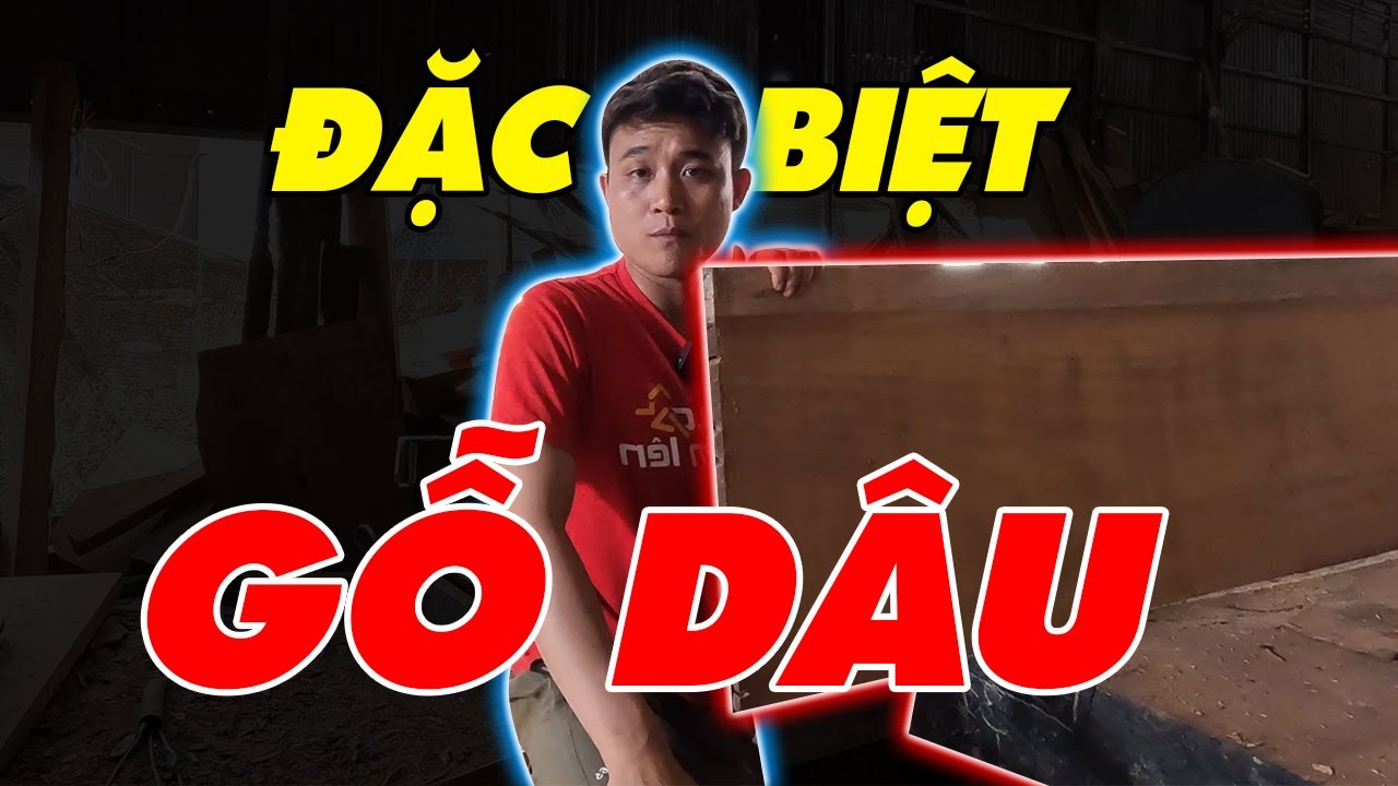 Gỗ dâu mới, gỗ khác biệt mọi loại gỗ | Sơn Sập Gỗ