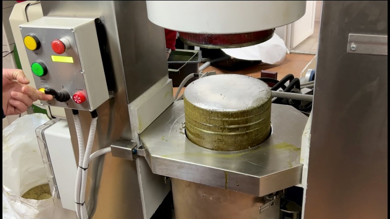 Processing of pumpkin seeds - production of pumpkin oil by hot pressing
