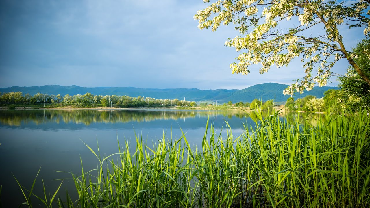 Pescuit la CRAP, Orlat Lake -1-72h 2024