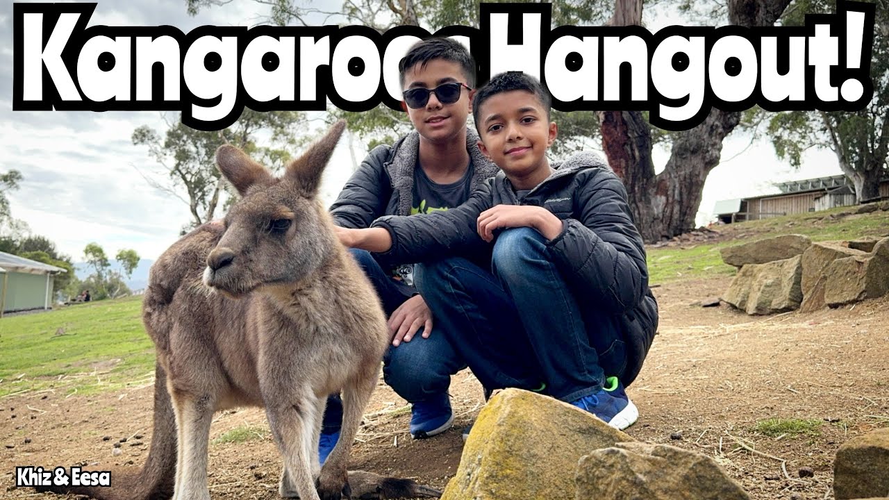 Tasmania’s Bonorong Wildlife Sanctuary Tour | Feeding Kangaroos & Meeting Tasmanian Devils 