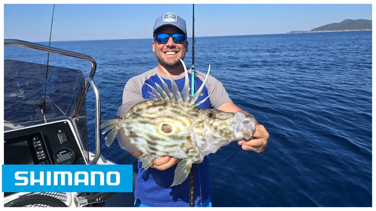 Bolentino with Live Bait | San Pietro!!!