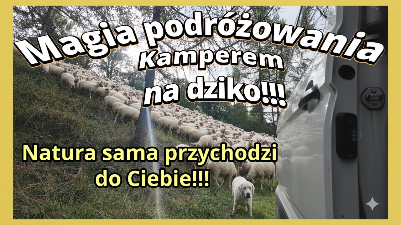 Polska Kamperem - Kamperem na dziko - Kamperem z dziećmi