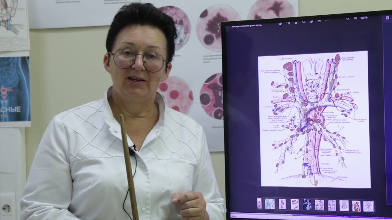 Сигналы о помощи щитовидной железы. Как не пропустить и не перепутать? [Шишова О.И.]
