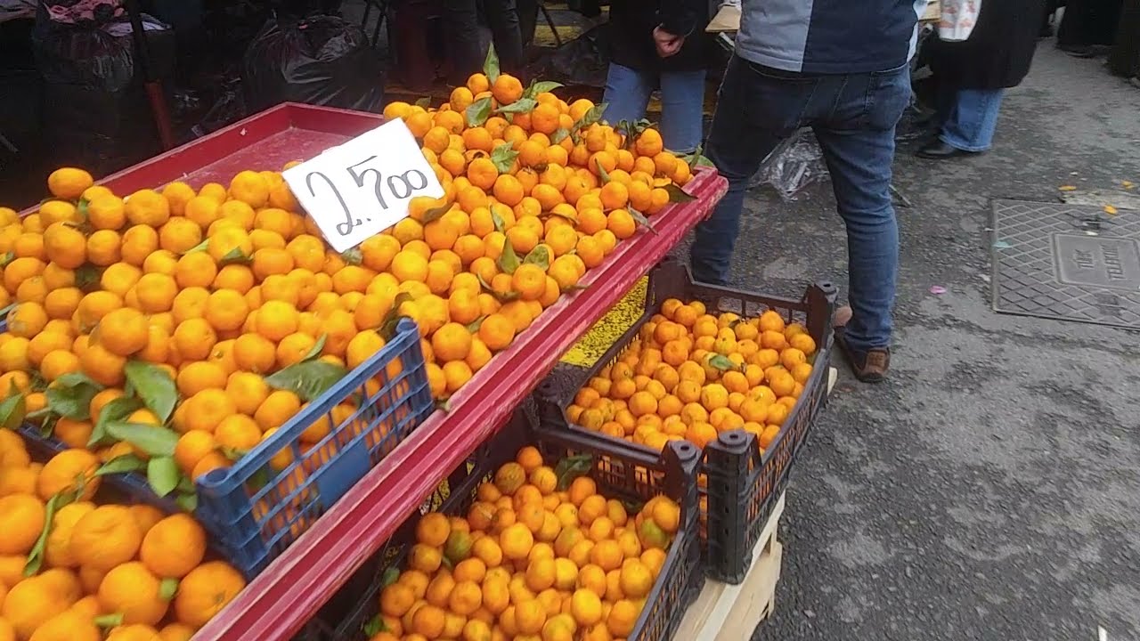 PAZAR TURU UCUZ PAZAR ALİŞVERİŞİ