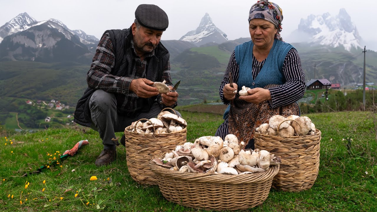 С Гор 🏔️ на Стол 🍽️: Грибной 🍄 Сезон в Горах Шахдага