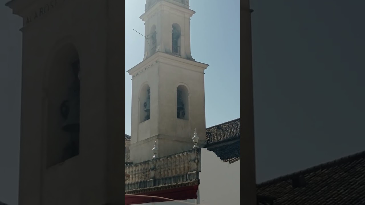 verenacion las nieves 2024 video antiguo