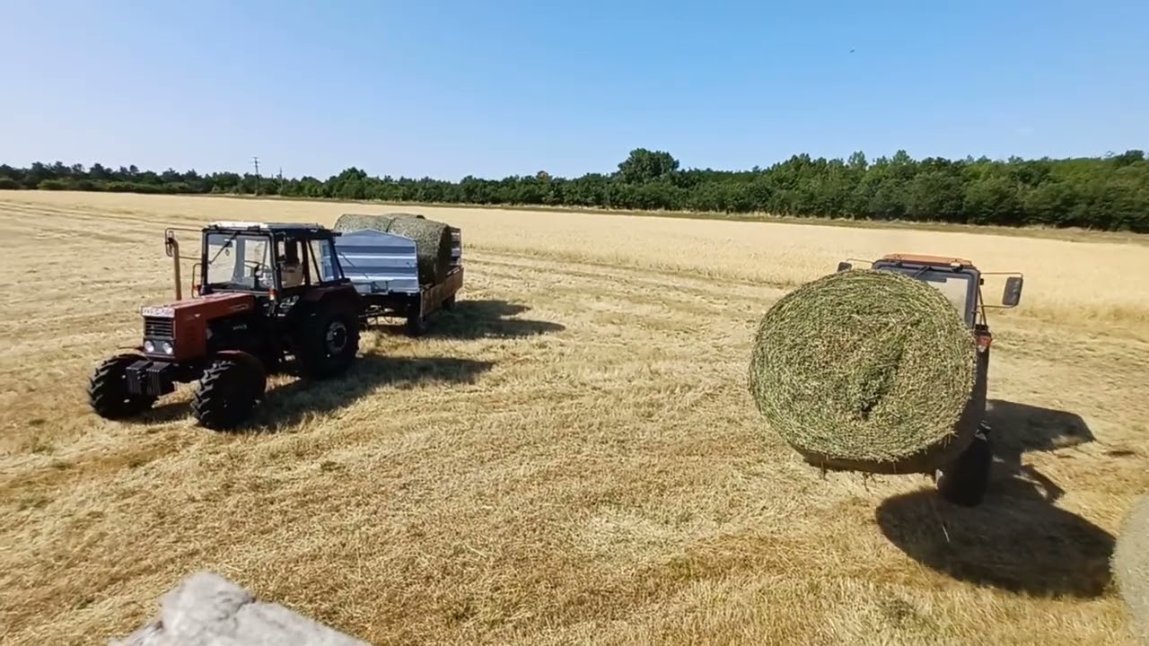 Mtz-82.1, Mtz-50 Évvégi Összefoglaló/End of the year/Sezon {2025}