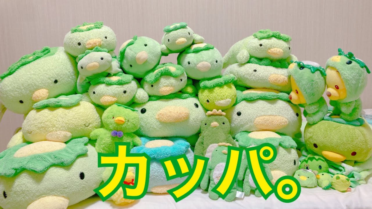 うちにいるカッパ達をご紹介！