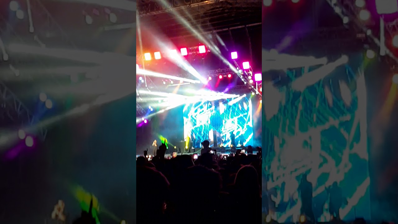 Fuengirola Marenostrum, Daddy Yankee 2019
