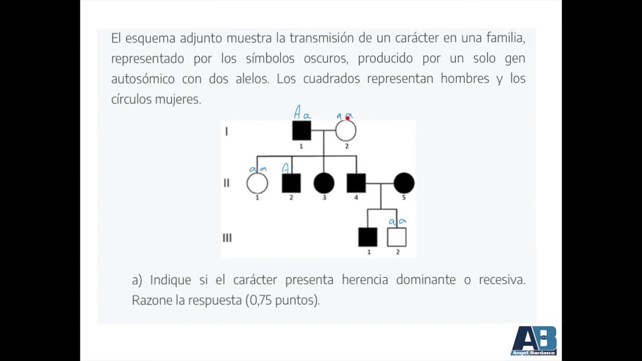 Problemas de genética: pedigrís