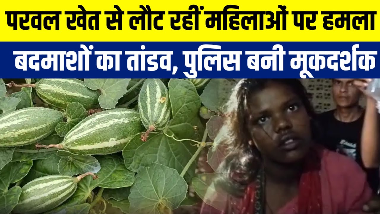 Ballia : महिलाओं और बच्चियों से मारपीट व छेड़खानी जिले में बदमाशों का तांडव, पुलिस बनी मूकदर्शक !