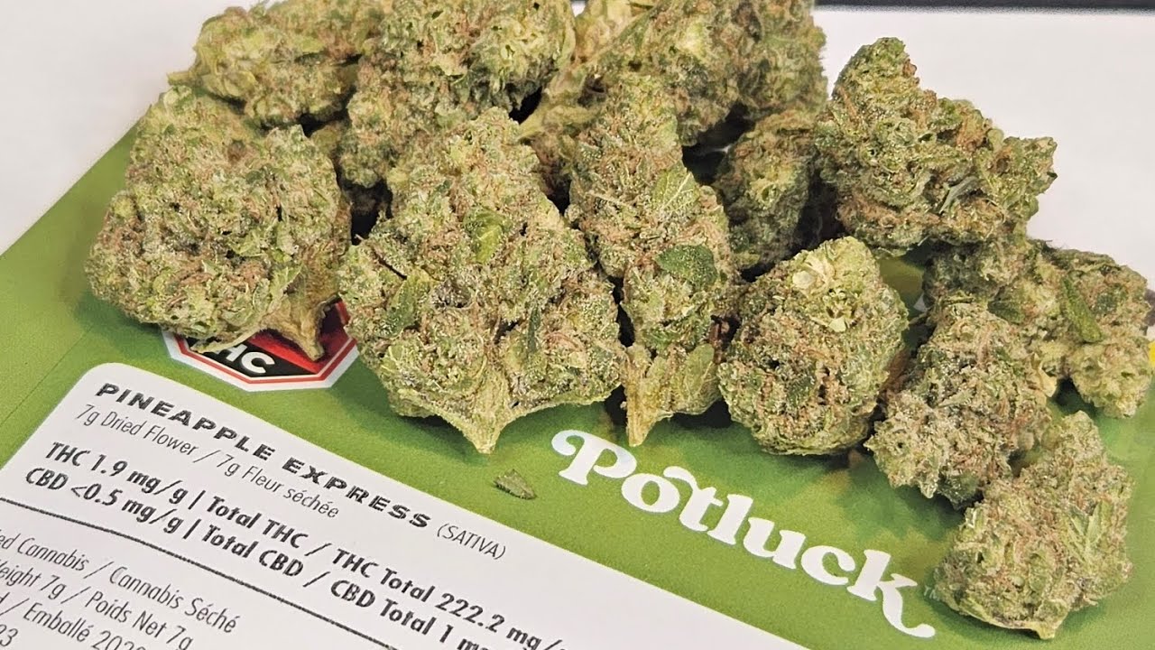 Strain Review Pineapple Express By Potluck
