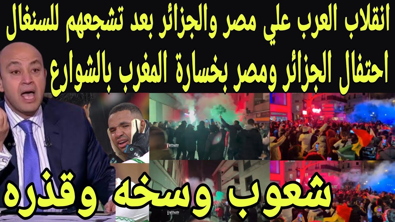 بالفيديو انقلاب العرب علي مصر والجزائر بعد احتفالاتهم بخساره المغرب امام السنغال ورفع العلم السنغالي