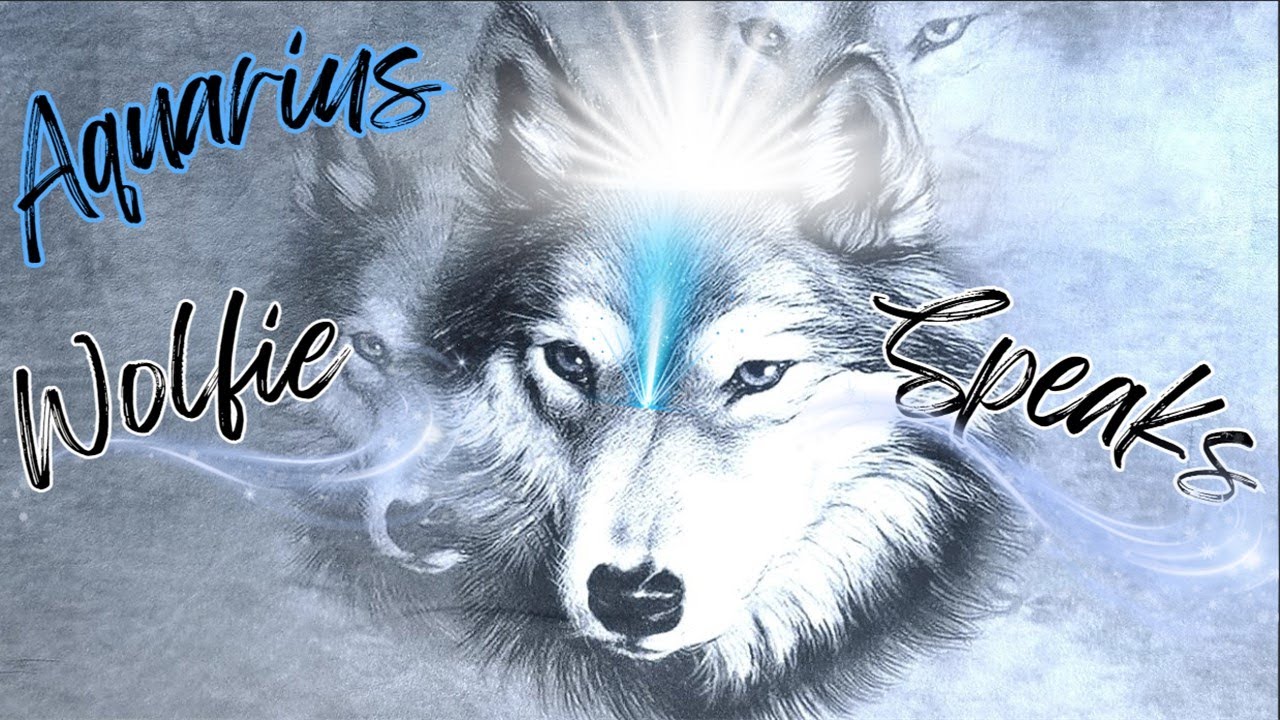 Aquarius 🐺💭EXPECT A SUDDEN SURPRISE RETURN😱THEY WANT TO FIGHT FOR THIS CONNECTION!!❤️