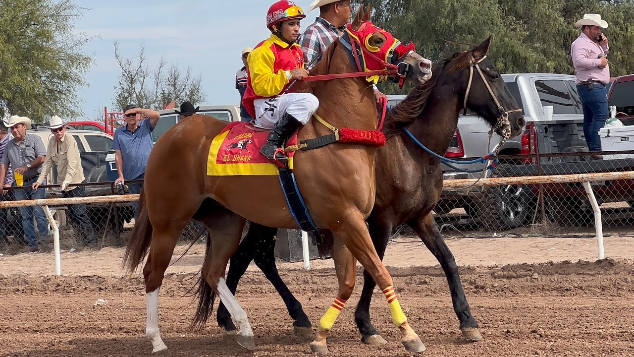 Carreras De Caballos | Taste El Vado Del Rio Etchojoa | 01 de Febrero 2026
