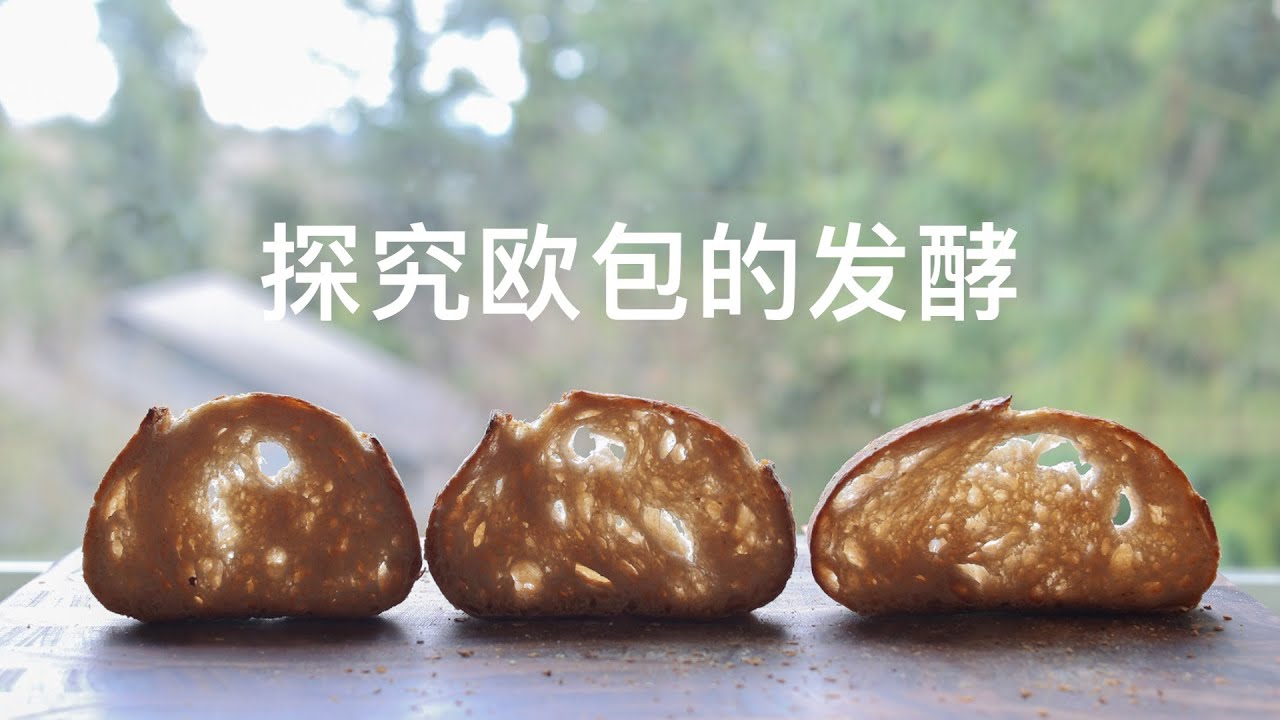【实验】天然酵种面包，如何理解发酵到位？When is bulk fermentation done?