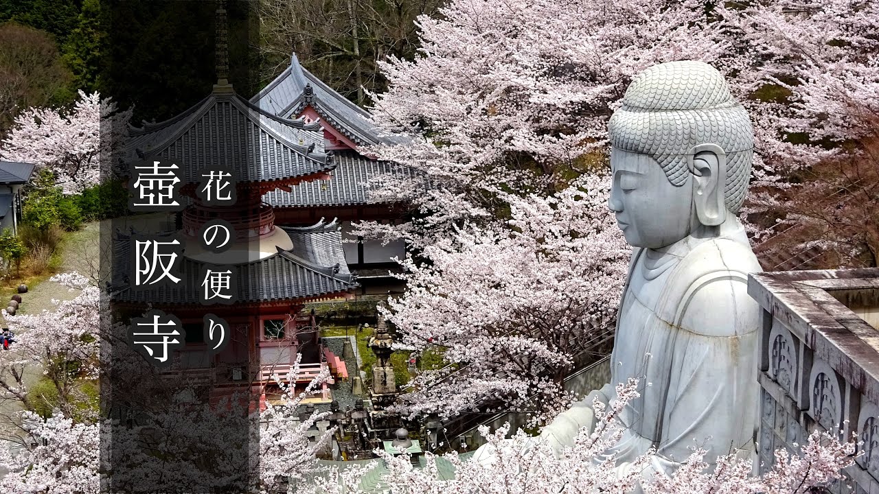 Tsubosaka-dera Temple （Minami Hokkeji Temple /Nara Prefecture）