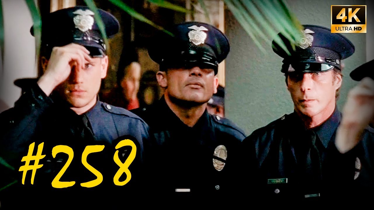 Cons dressed as Police trying to steal 2nd Scylla Card | 🇵​​🇷​​🇮​​🇸​​🇴​​🇳​ ​🇧​​🇷​​🇪​​🇦​​🇰 (258), 4K